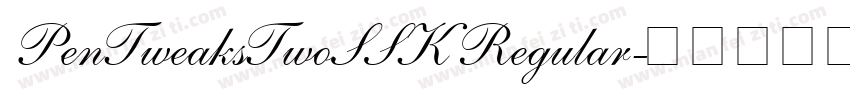 PenTweaksTwoSSK Regular字体转换